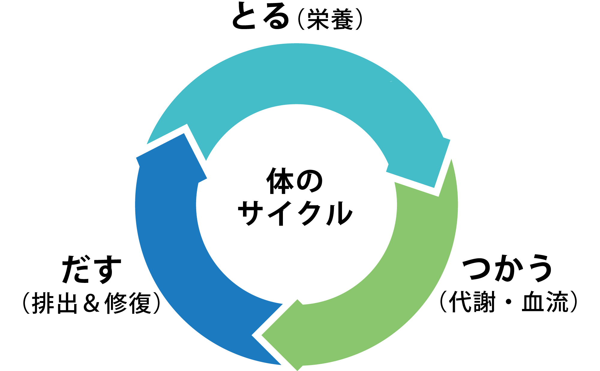 ラティアメソッド